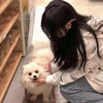 飞天助手免root破解版下载